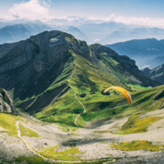 我不要婚姻但我需要你