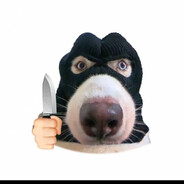 沙古桥第一土狗