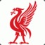 LiverBirD*