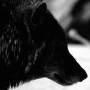 Skillet `aKa El Perdón