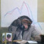 Macaco Trader