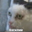 CCCP