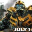 bumblebee