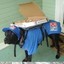 Pizza Dog