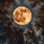Moonstone