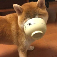 每天一杯柠檬水
