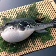 你好 *****