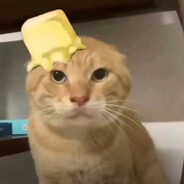 原神启动！！！！