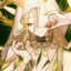 Yaoshi&#039;s Blessings