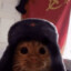 зенит