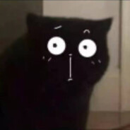 开开心心过大年