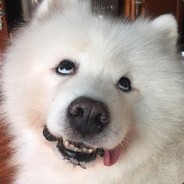 一言不合喷队友