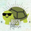 busyTortoise106