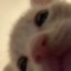 AftMouse