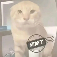 难道我是一只很坏很坏的小猫咪吗