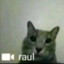 📹Raul 75HZ