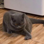 我有一个大豆豆