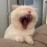 她还是那么的美❃❃❃