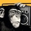 SoundMonkey