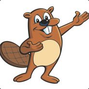 spider beaver