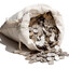 Bag Of Nickels