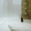 Viper