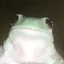 Potät