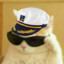 Captain Meow