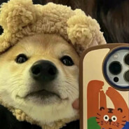 满目星辰只为ta