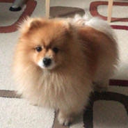 Zaklínač-Modelovač