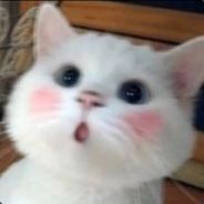 610780552
