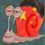 nestll