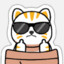Kitty