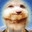 YURI SLOP