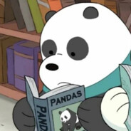 胖达pandaa（师承晴空