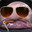 PurplePachiderme
