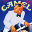 Joe Camel