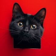 Тайлер Дёрден