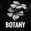 Botany