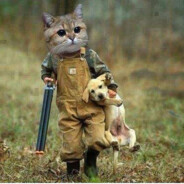 悍匪都是小宝贝