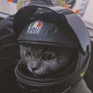 听不腻的半岛铁盒