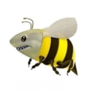 鲨BEE