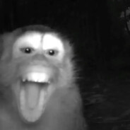 subi enjoyer skins.army