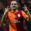 Wesley Sneijder