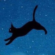 野猫