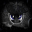 Shadowy Pone