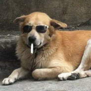Fentanyl dealer avatarı