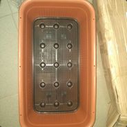 [匪徒]丿Mr丶大姨妈