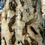 CONCRETO ARMADO