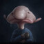 %Blobfish%